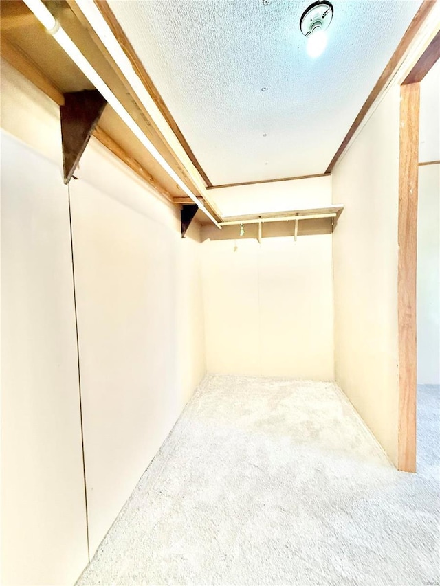 walk in closet with carpet