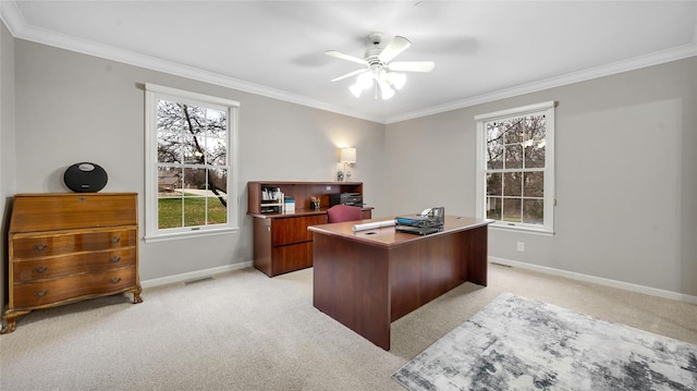 carpeted office space with ceiling fan and crown molding