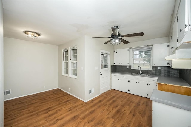 kitchen featuring tasteful backsplash, dark hardwood / wood-style flooring, white cabinetry, and sink