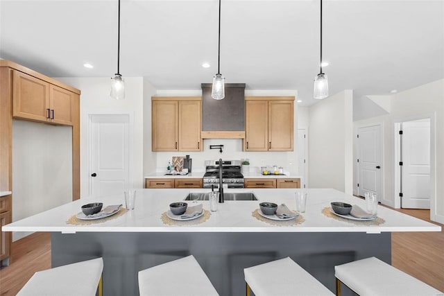 kitchen with a large island with sink, light hardwood / wood-style flooring, and pendant lighting