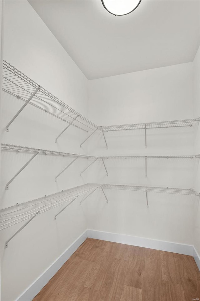 spacious closet featuring wood-type flooring