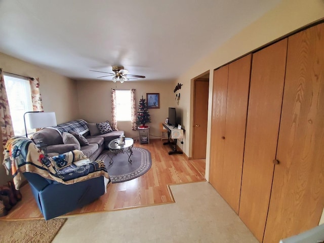 living room featuring ceiling fan and light hardwood / wood-style flooring