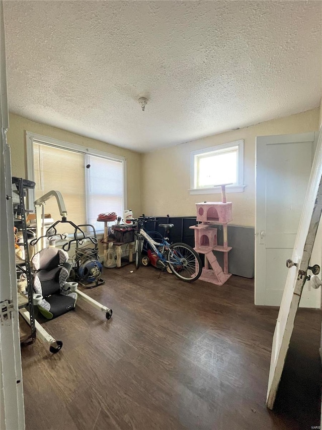 workout area featuring dark hardwood / wood-style flooring and a textured ceiling