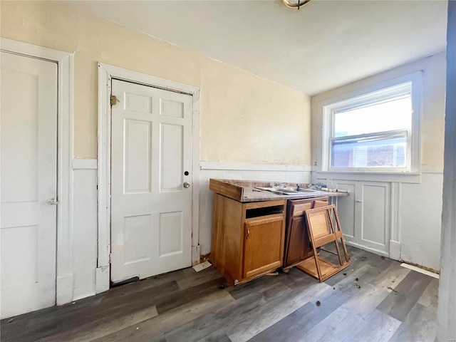 kitchen featuring dark wood-type flooring