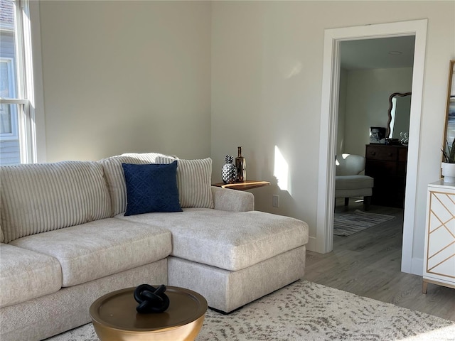 living room featuring hardwood / wood-style floors