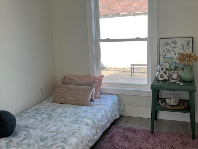 bedroom featuring hardwood / wood-style floors