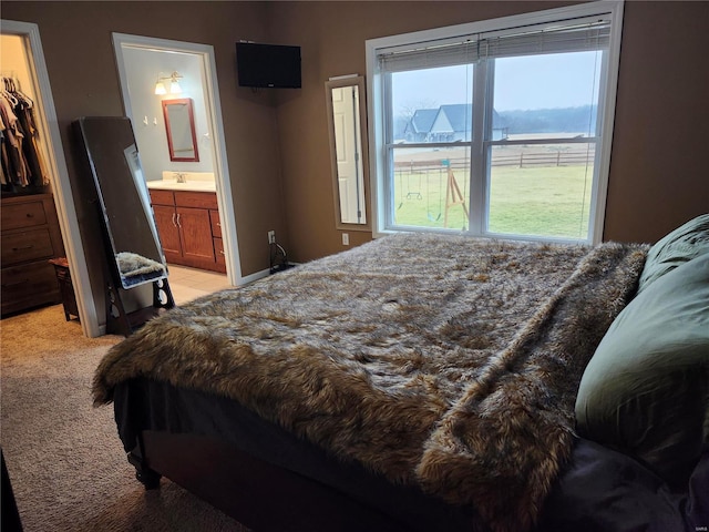 carpeted bedroom featuring a closet, a walk in closet, sink, and ensuite bath