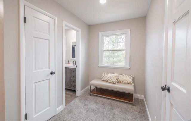 sitting room featuring light colored carpet