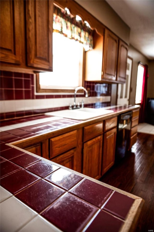 kitchen featuring dishwasher, tasteful backsplash, dark wood-type flooring, and sink