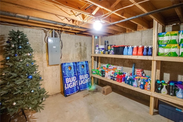 storage room with electric panel