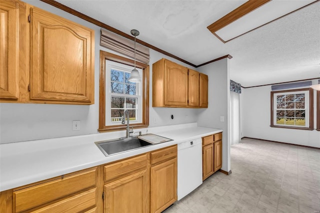 kitchen featuring decorative light fixtures, white dishwasher, ornamental molding, and sink