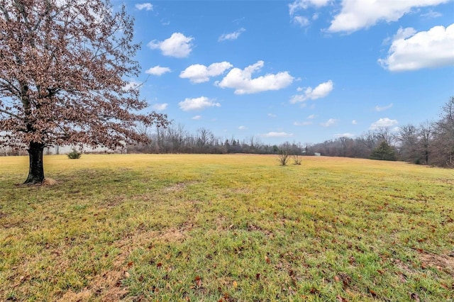 view of yard featuring a rural view