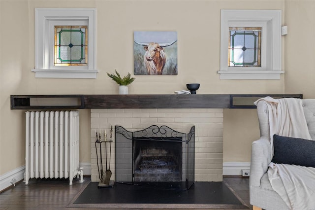 room details featuring a fireplace, radiator, and wood finished floors