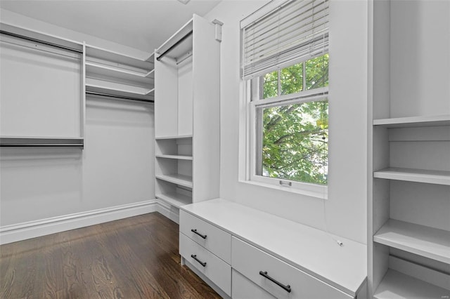 walk in closet with dark wood-type flooring