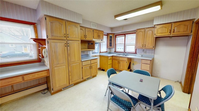 kitchen with tasteful backsplash and sink