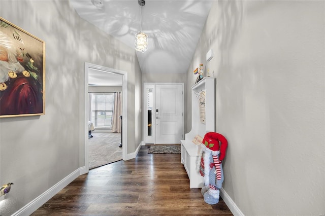 foyer featuring dark wood-type flooring