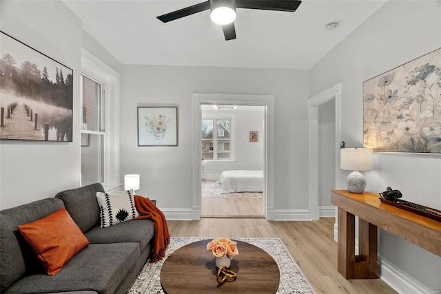 living room with ceiling fan and light hardwood / wood-style flooring