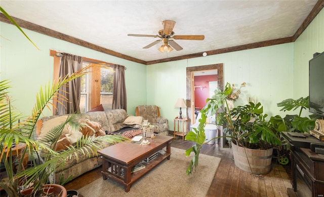 living room with ceiling fan, crown molding, and wood-type flooring