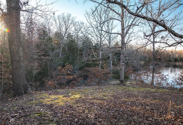 view of yard with a water view