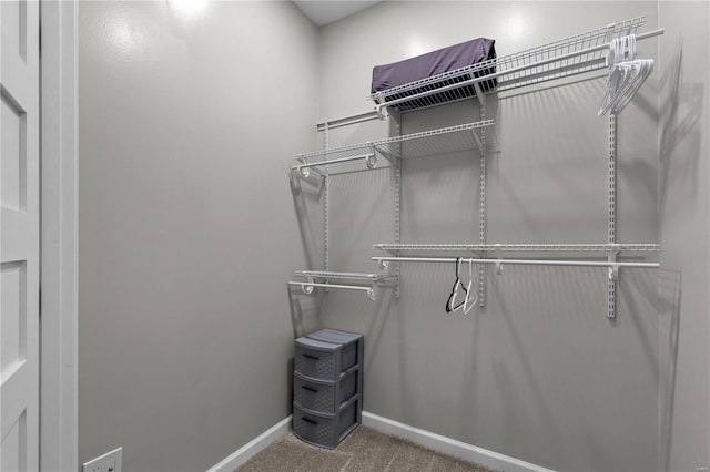 spacious closet with carpet floors