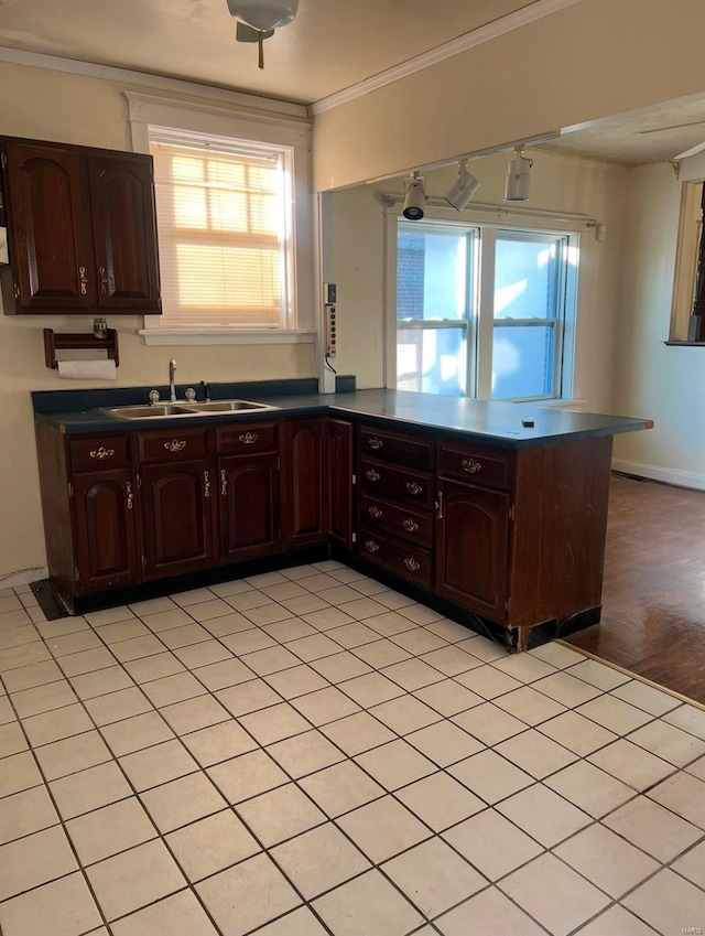 kitchen with dark brown cabinetry, crown molding, and a wealth of natural light