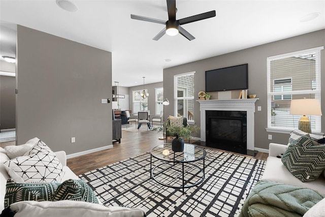 living room with wood-type flooring and ceiling fan with notable chandelier