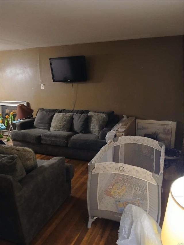 living area featuring dark wood-style floors