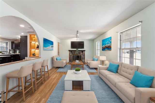 living room with plenty of natural light and light hardwood / wood-style flooring