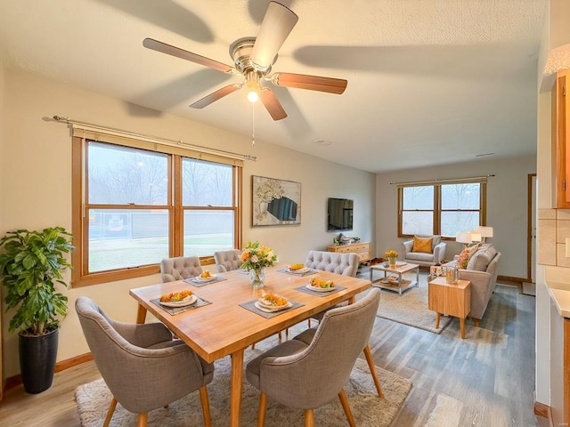 dining room with ceiling fan and hardwood / wood-style flooring