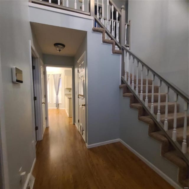 staircase featuring wood-type flooring