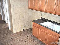 kitchen with dark wood-type flooring and sink