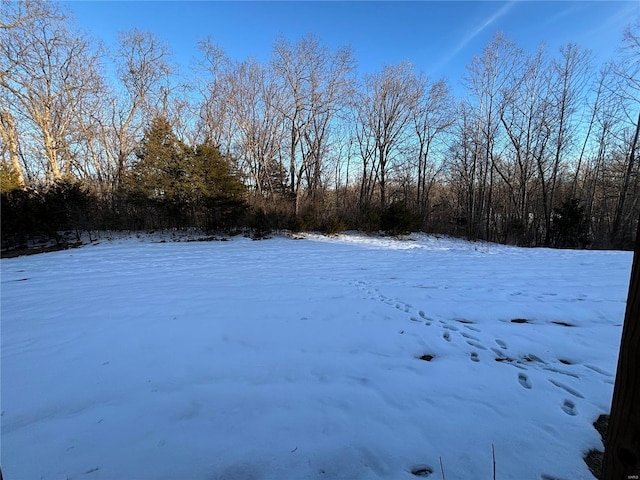 view of yard layered in snow