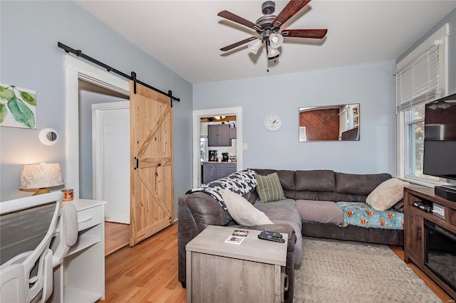 living room featuring ceiling fan, a barn door, and light hardwood / wood-style floors