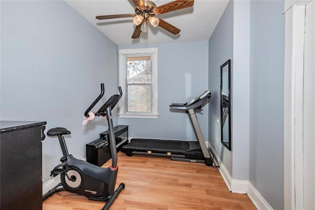 workout area with light hardwood / wood-style floors and ceiling fan