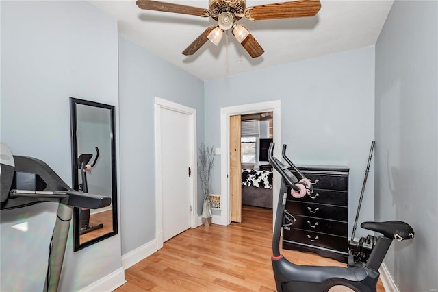 workout room with ceiling fan and light hardwood / wood-style flooring