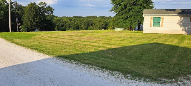 view of yard