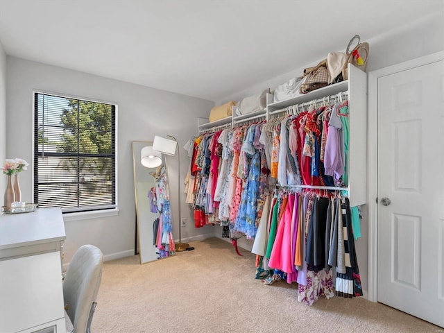 spacious closet featuring carpet