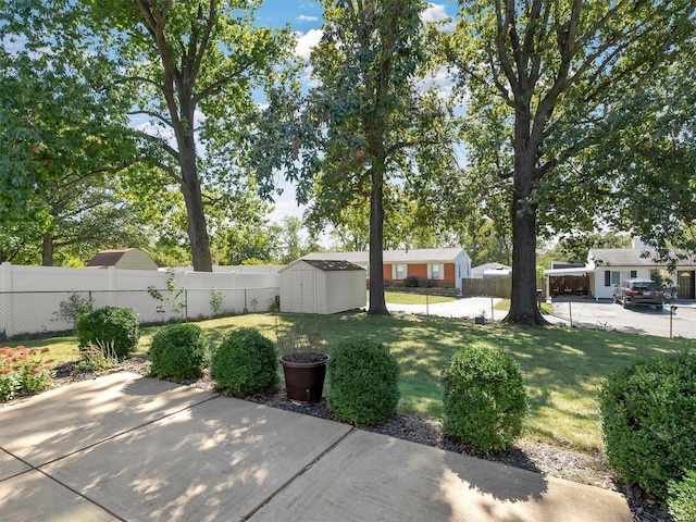 view of yard with a storage shed