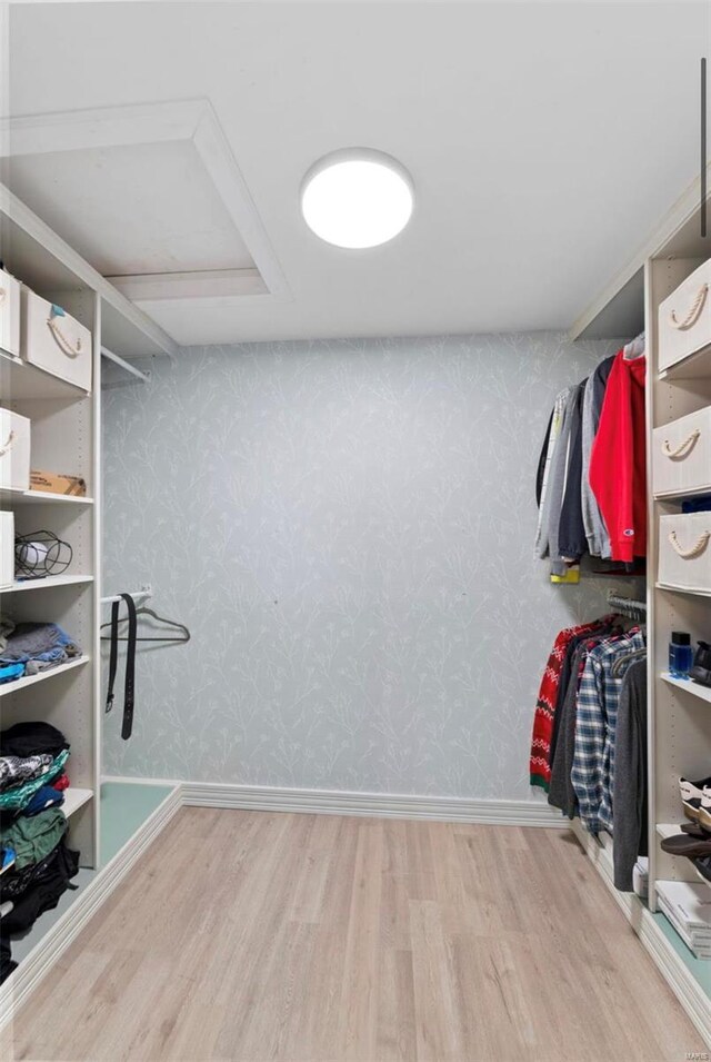 walk in closet with hardwood / wood-style floors