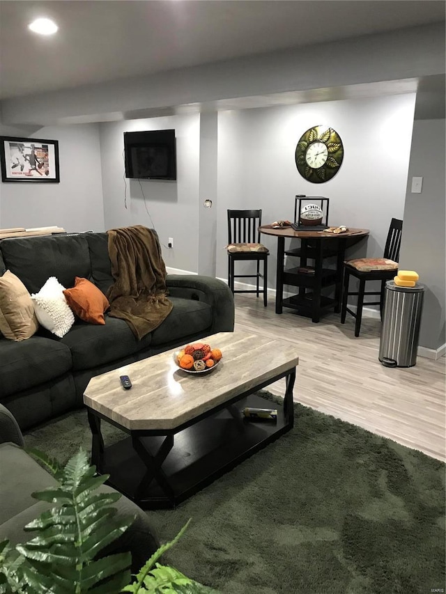 living room featuring light hardwood / wood-style flooring