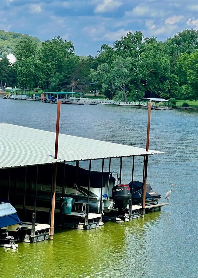 dock area featuring a water view