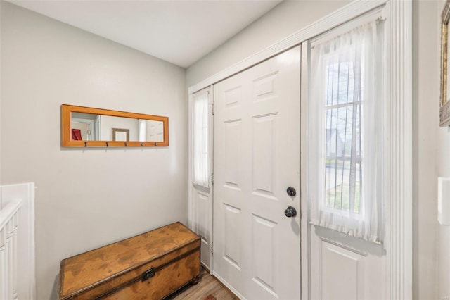 foyer entrance with hardwood / wood-style flooring and a wealth of natural light