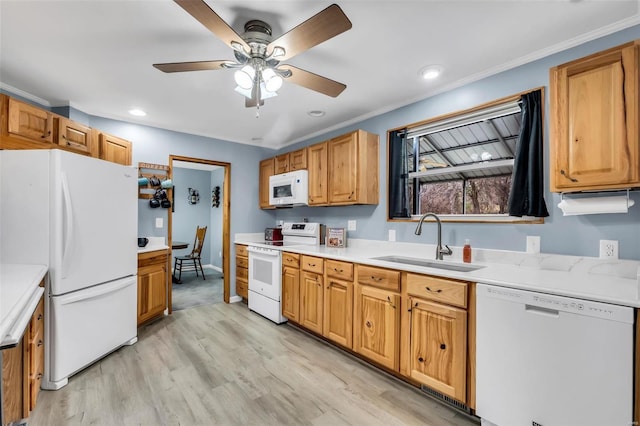 kitchen with light wood-type flooring, ornamental molding, white appliances, ceiling fan, and sink