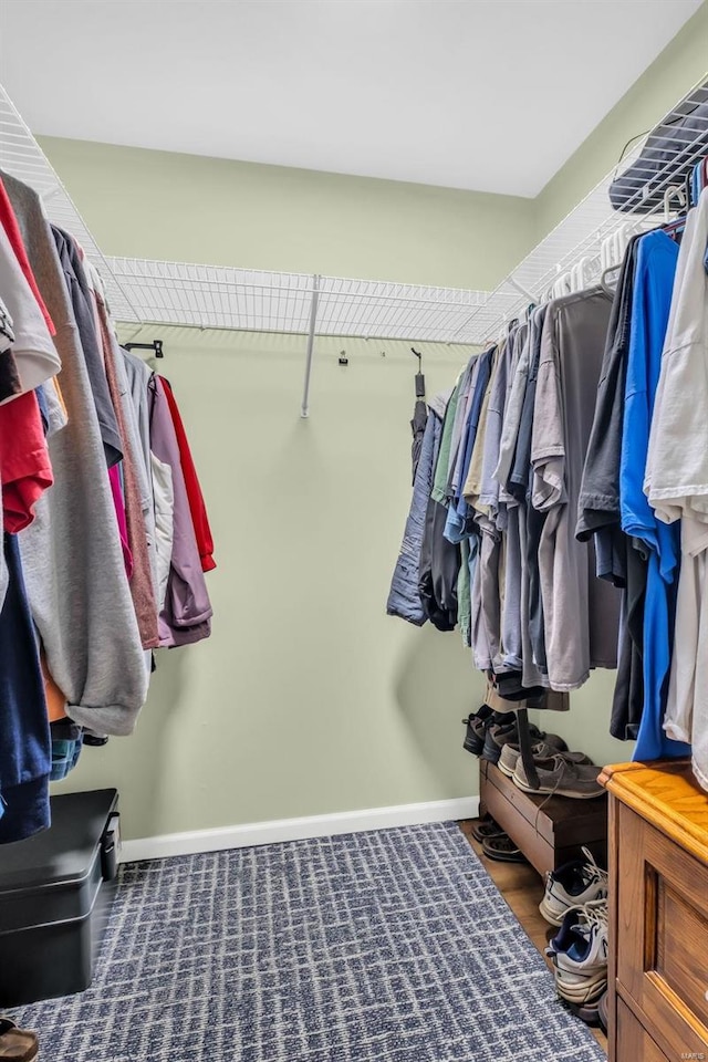 view of walk in closet