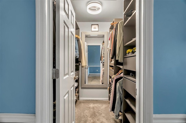 walk in closet with carpet