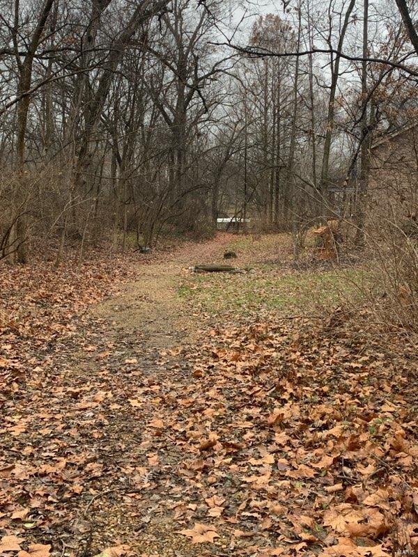 view of local wilderness