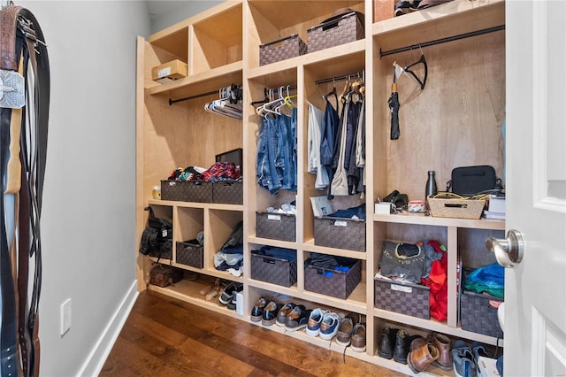 spacious closet with wood-type flooring