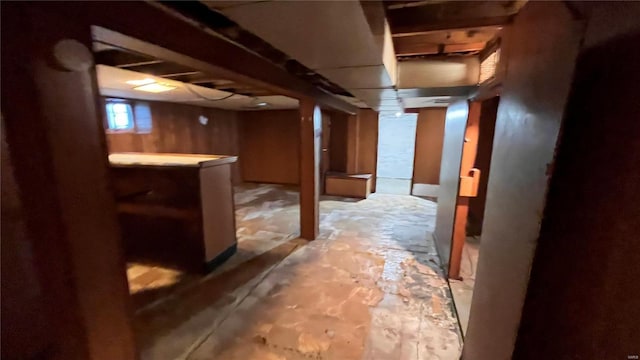 basement with wood walls