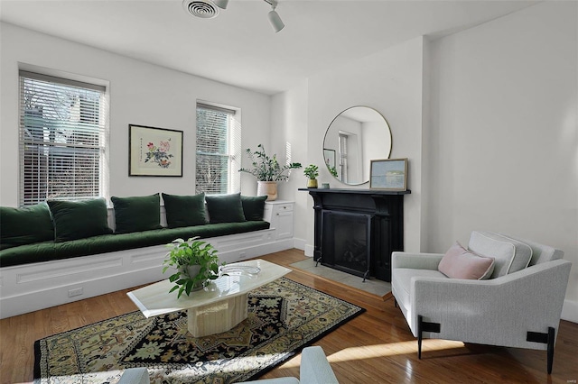 living room with hardwood / wood-style floors and plenty of natural light