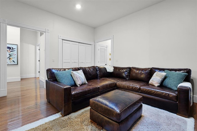 living room featuring hardwood / wood-style flooring